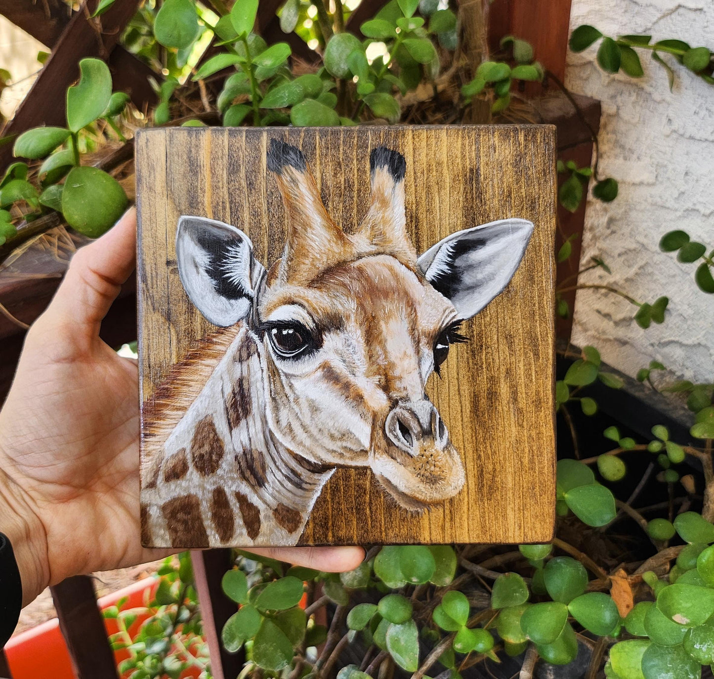 Giraffe