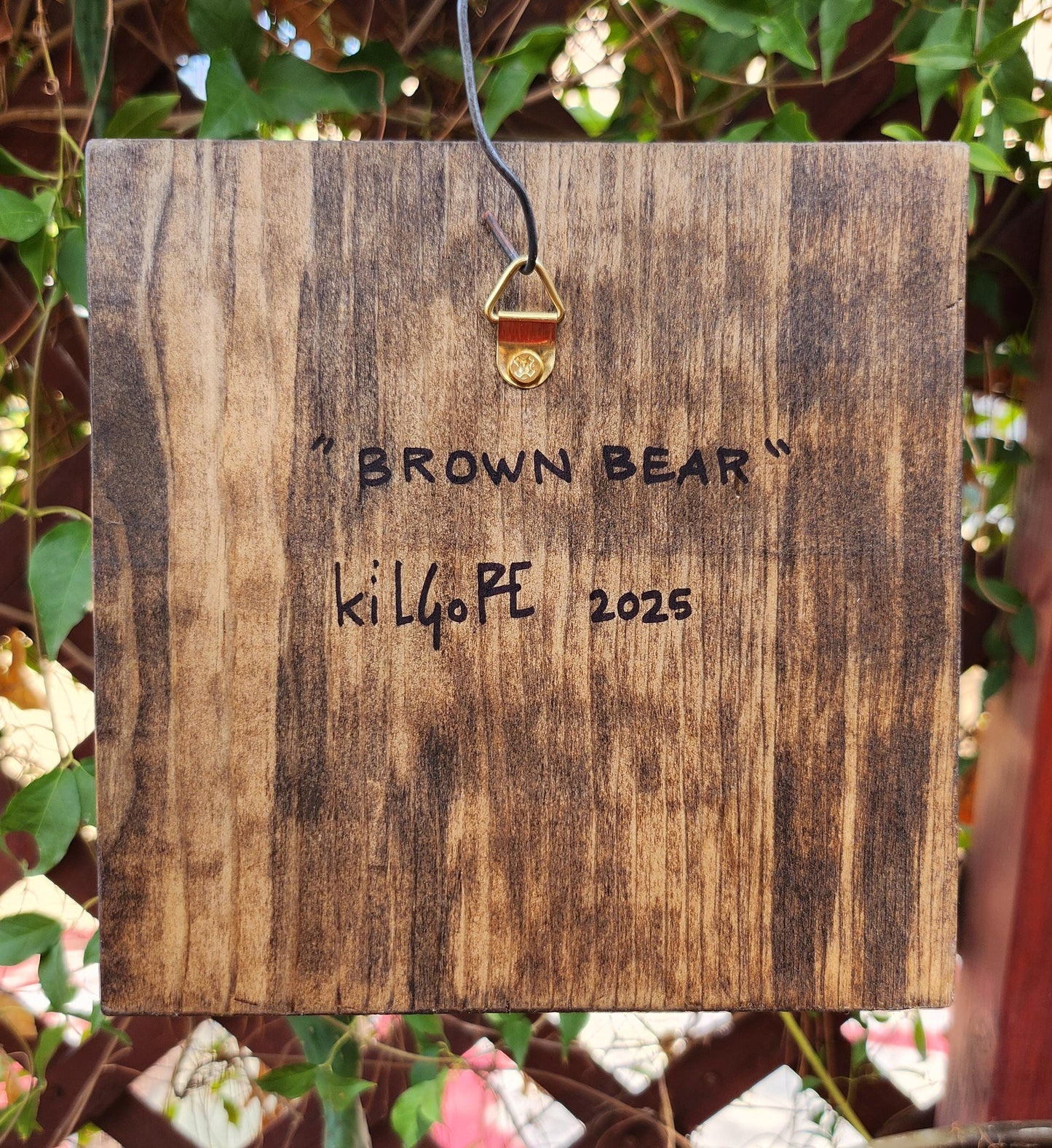 Brown Bear
