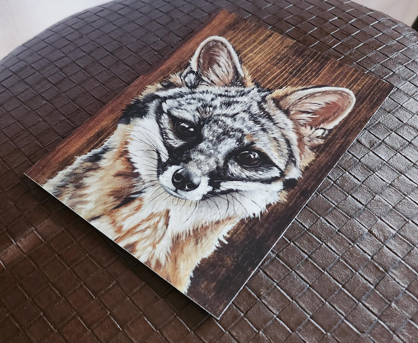 Gray Fox