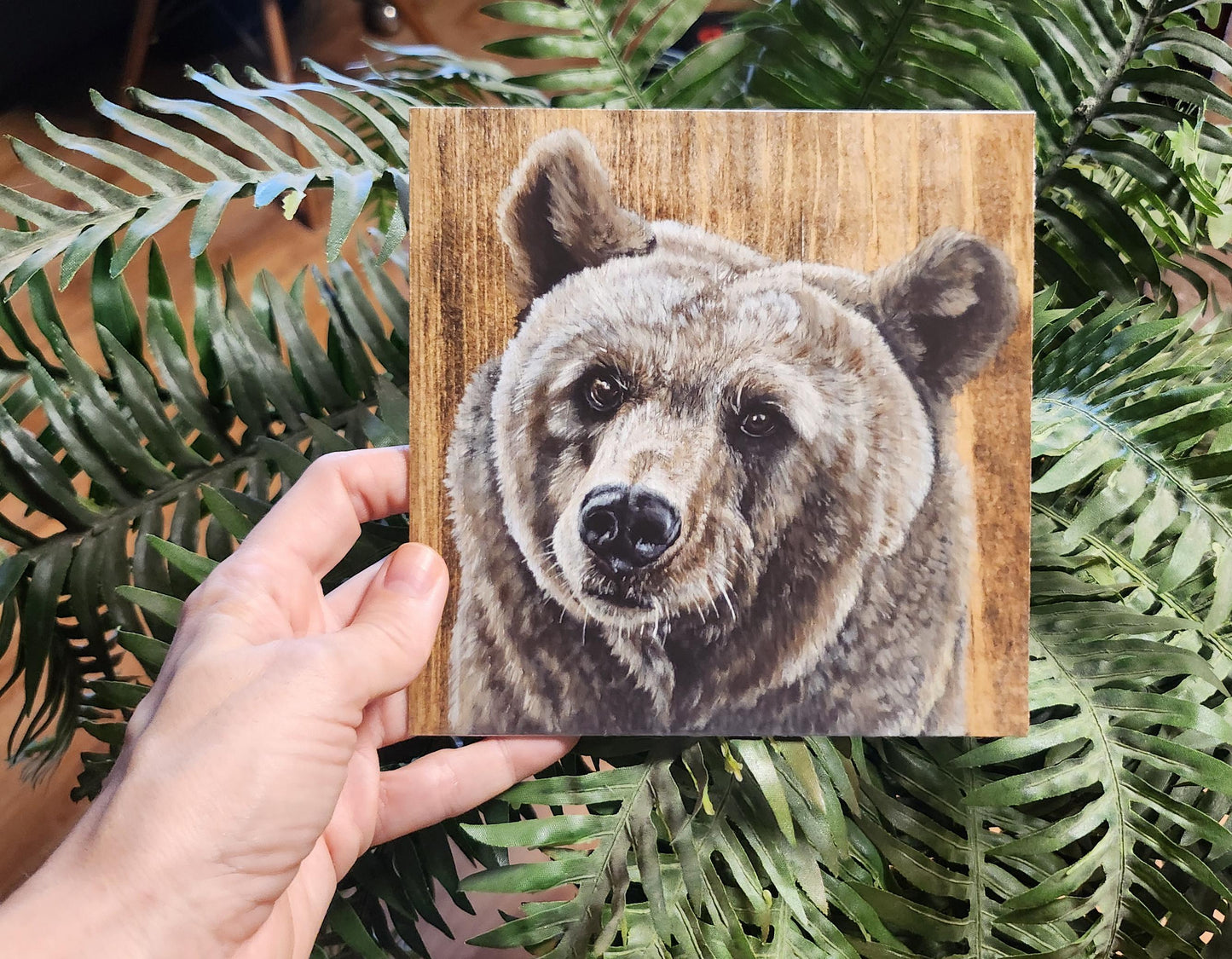 Brown Bear