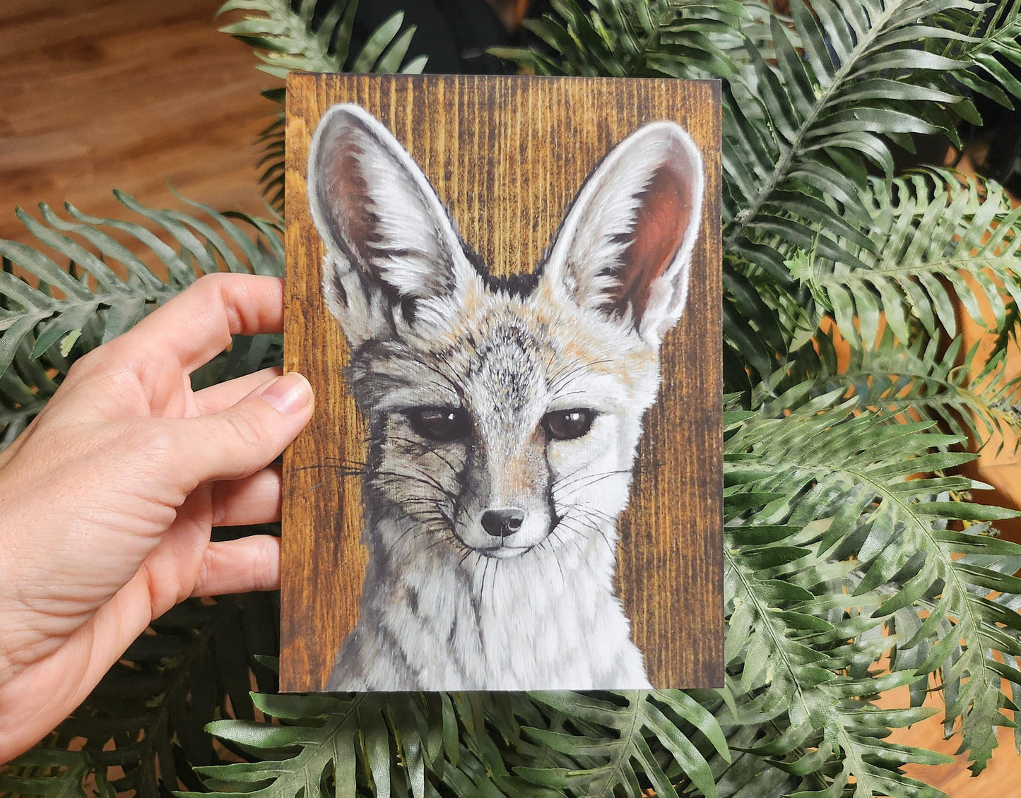 Kit Fox