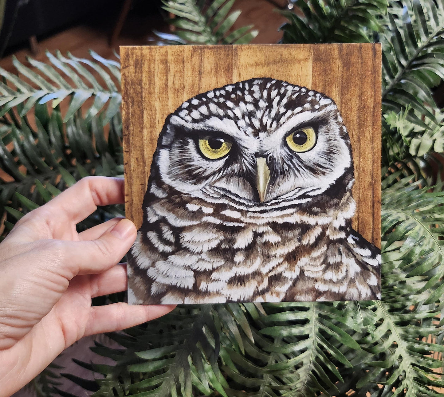Burrowing Owl