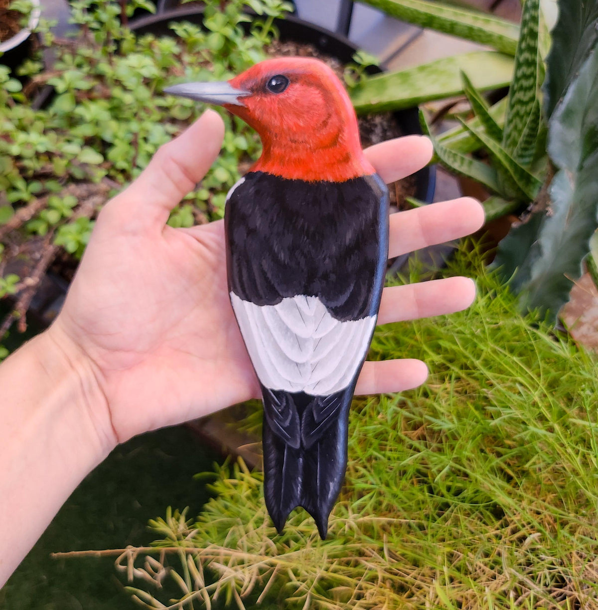 Red Headed Woodpecker