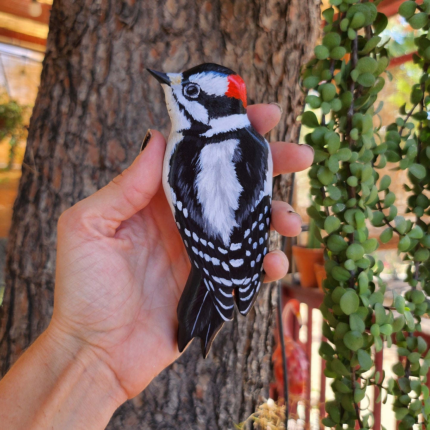 Downy Woodpecker
