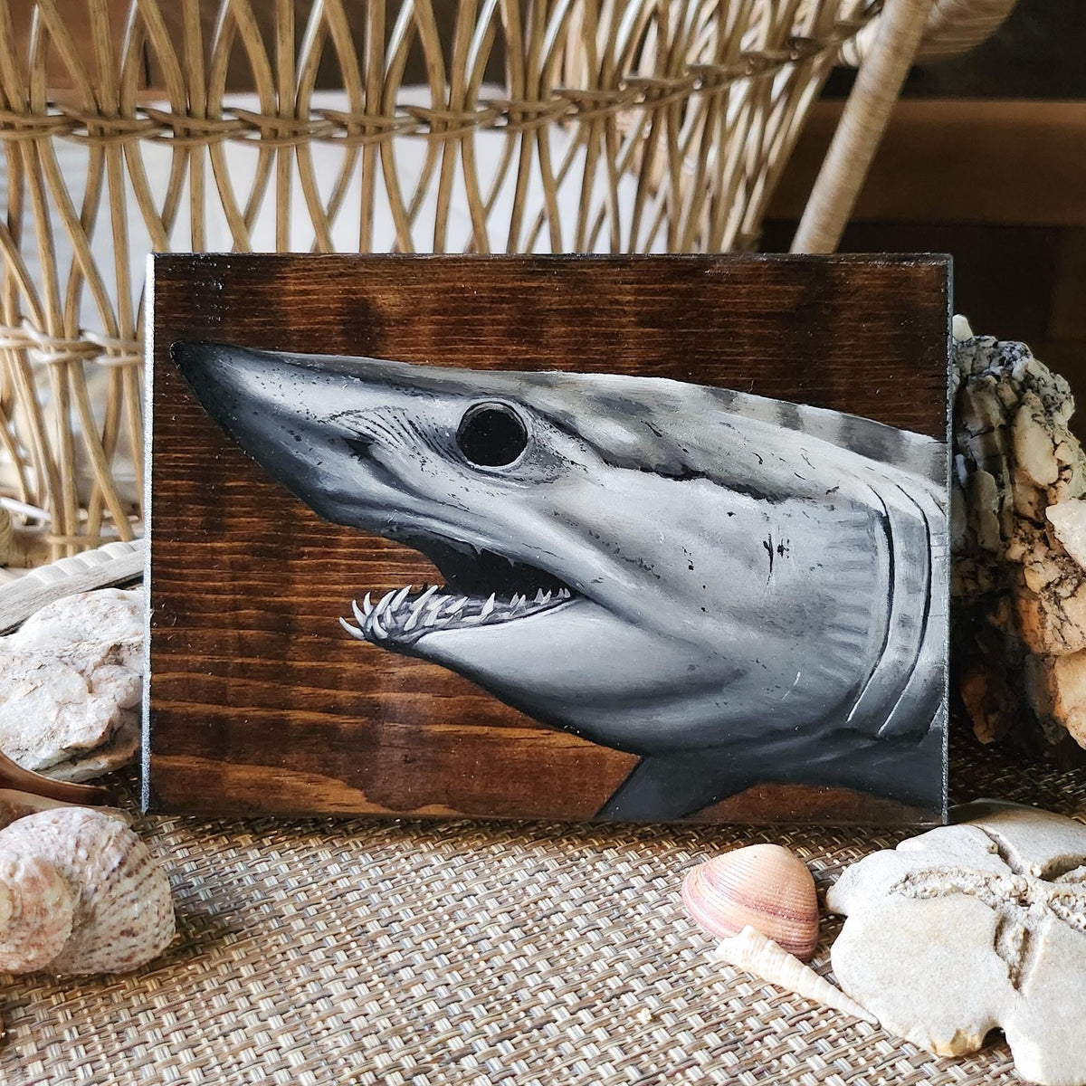 Shortfin Mako Shark