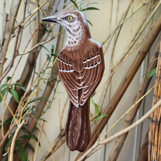 Brown Thrasher - Wooden Wall Art, Handmade, Painted Bird on Wood