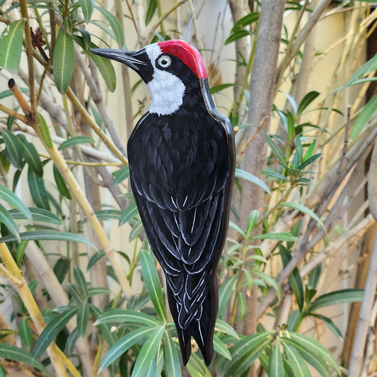 Acorn Woodpecker - Wooden Wall Art, Handmade, Painted Bird on Wood