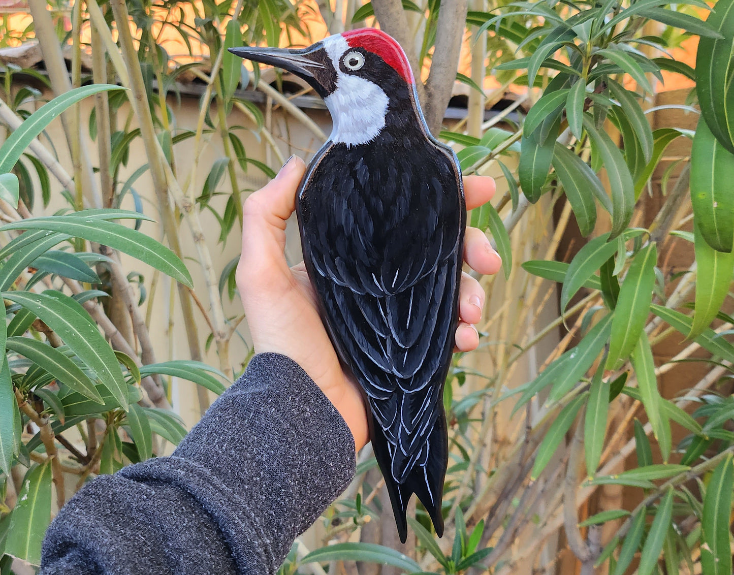 Acorn Woodpecker - Wooden Wall Art, Handmade, Painted Bird on Wood
