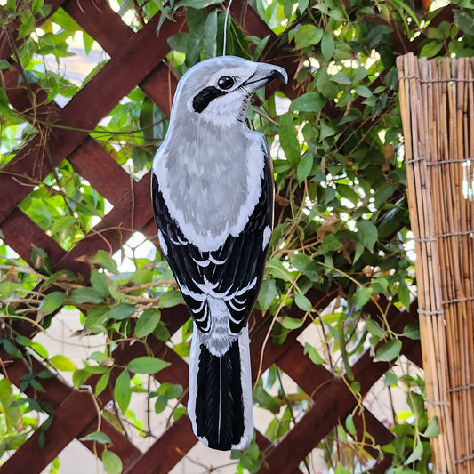 Northern Shrike - Wooden Wall Art, Handmade, Painted Bird on Wood
