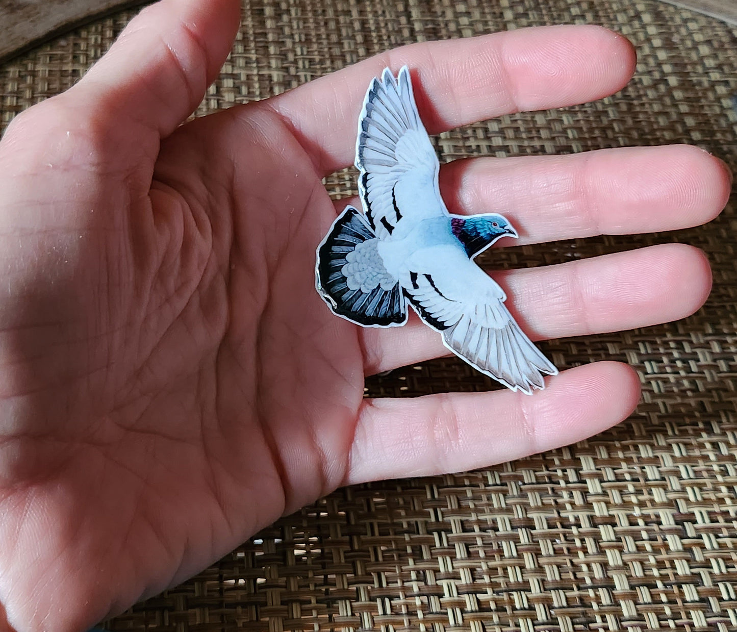 Flying Rock Pigeon - Resin Coated Polystyrene Pin - 100% Handmade Bird Pin