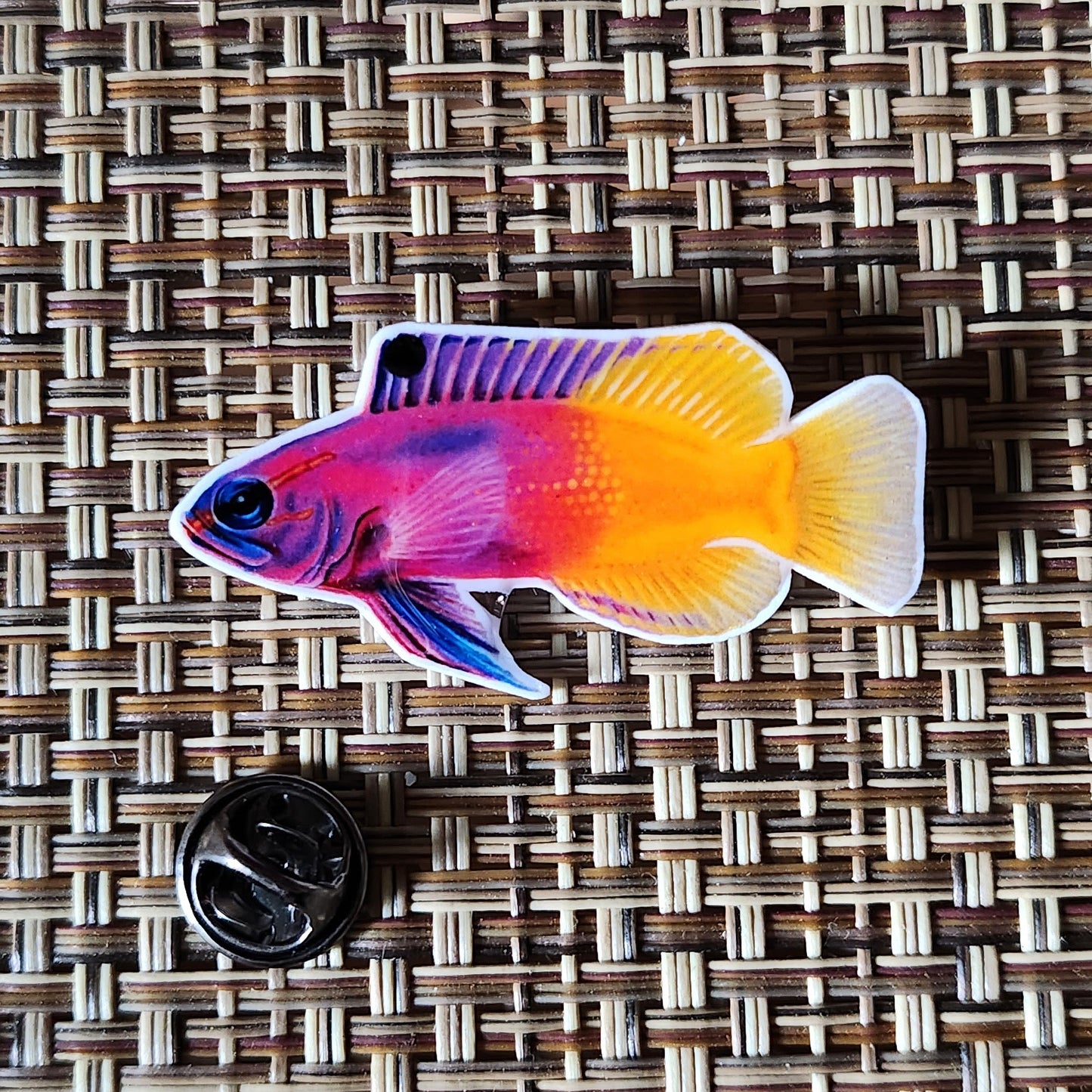 Royal Gramma - Resin Coated Polystyrene Pin - 100% Handmade Fish Pin, Fairy Basslet