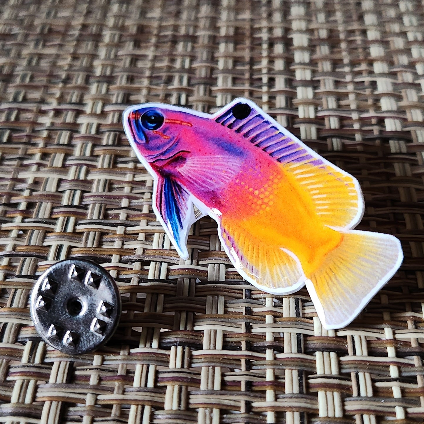 Royal Gramma - Resin Coated Polystyrene Pin - 100% Handmade Fish Pin, Fairy Basslet