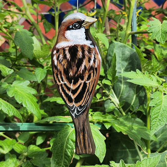 House Sparrow - Wooden Wall Art, Handmade, Painted Bird on Wood, Bird Wall Sculpture