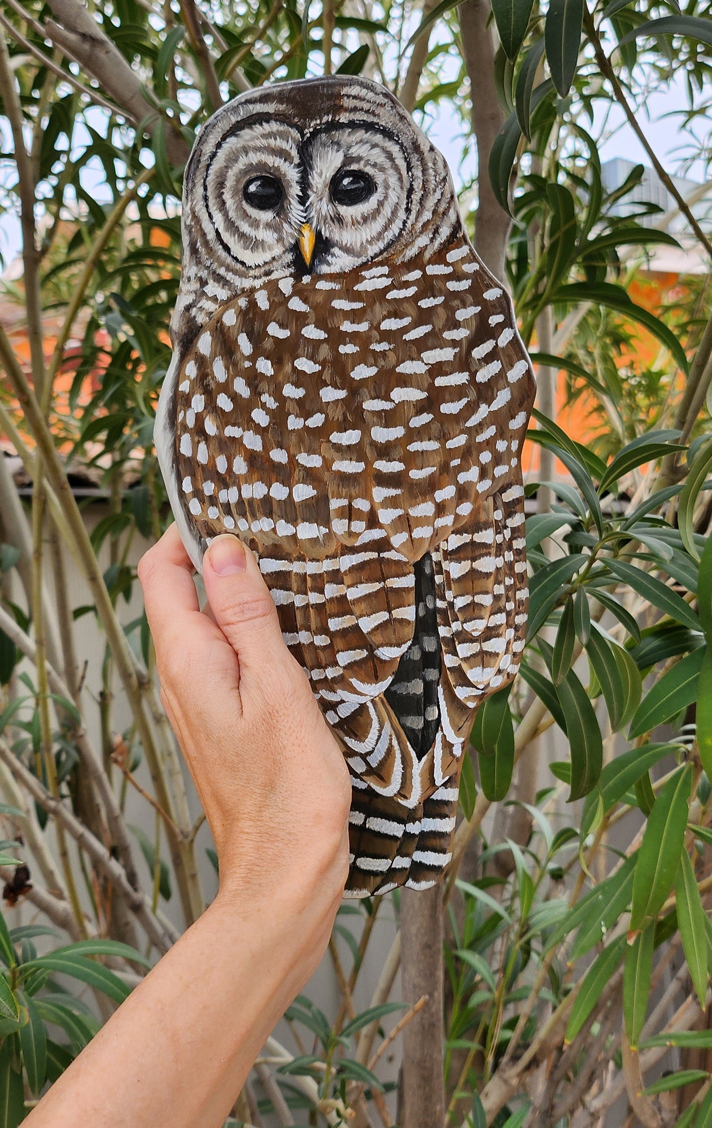 Barred Owl - Wooden Wall Art, Handmade, Painted Owl on Wood, Owl Wall Decor