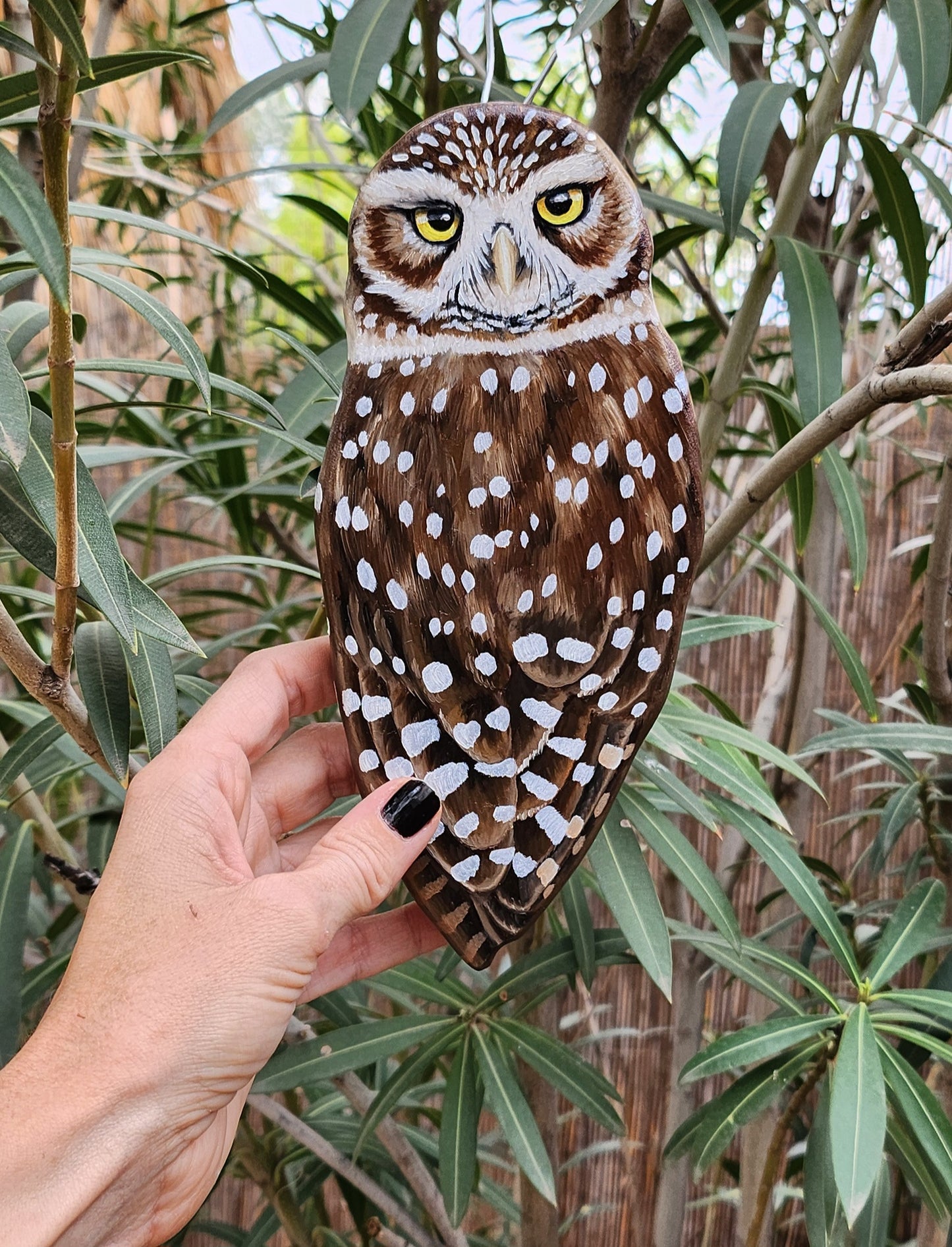 Burrowing Owl - Wooden Wall Art, Handmade, Painted Owl on Wood, Owl Wall Decor, Shoco