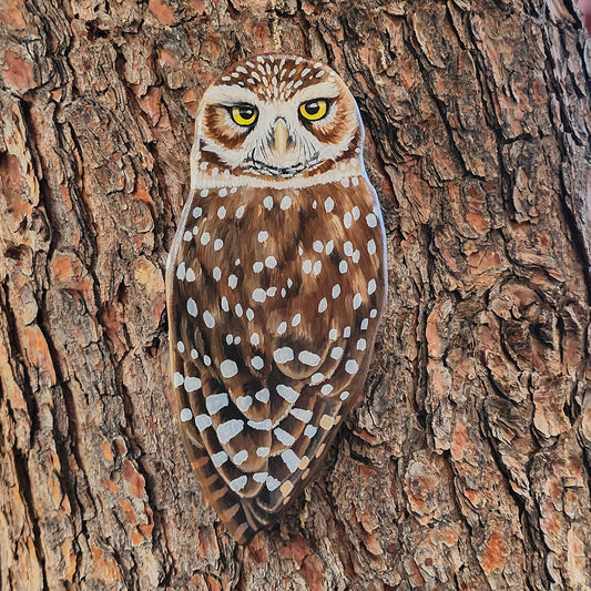 Burrowing Owl - Wooden Wall Art, Handmade, Painted Owl on Wood, Owl Wall Decor, Shoco