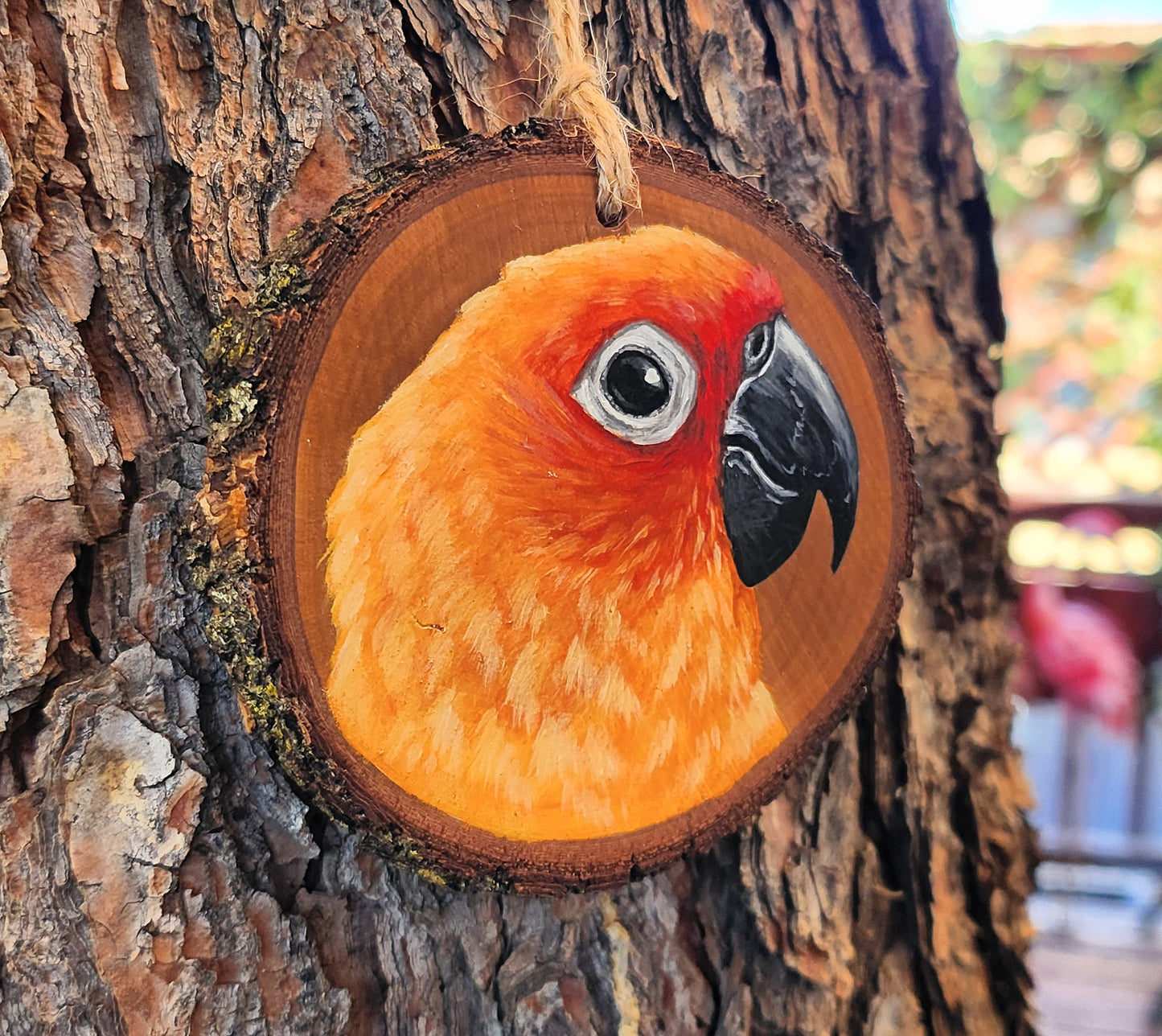 Sun Conure - Pear Wood Slice, Hand Painted Parrot on Wood Sun Parakeet Ornament