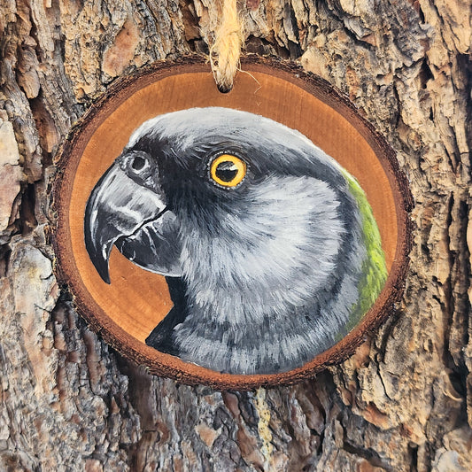 Senegal Parrot - Pear Wood Slice, Hand Painted Parrot on Wood Ornament