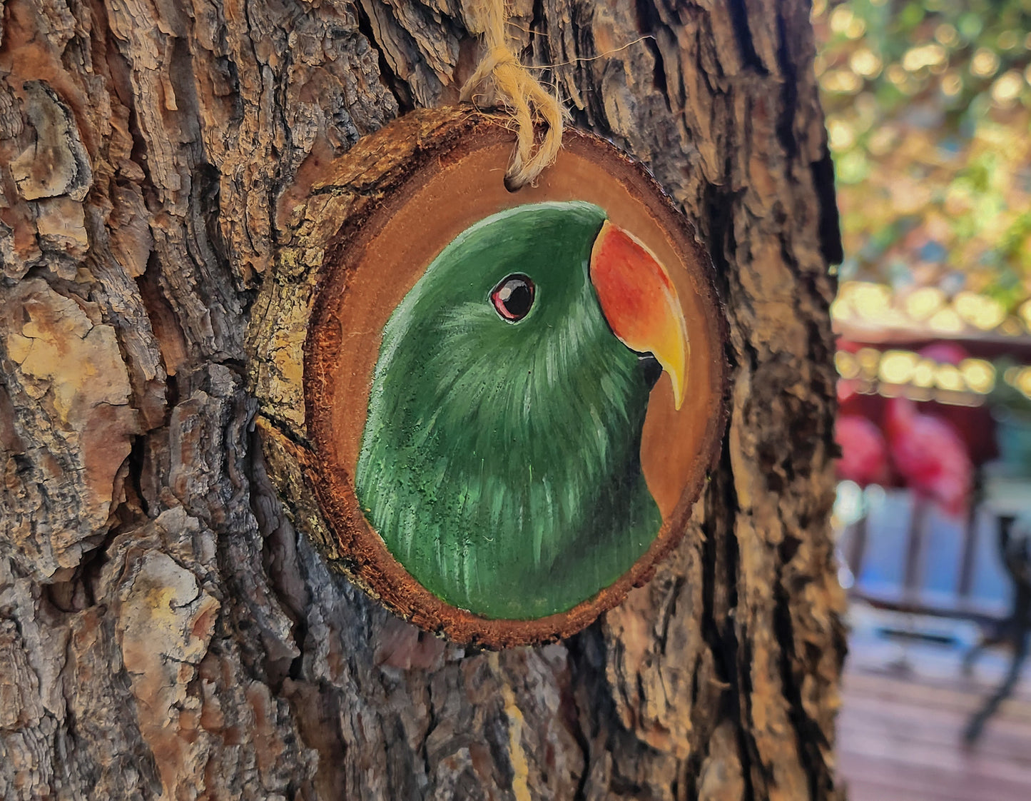 Eclectus Parrot - Wood Ornament, Hand Painted Parrot on Wood, Green Eclectus, Male Eclectus Parrot