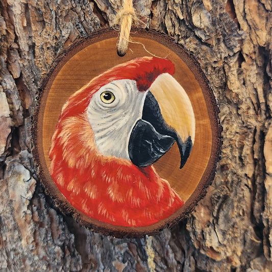 Scarlet Macaw - Pear Wood Slice, Hand Painted Parrot on Wood Macaw Ornament