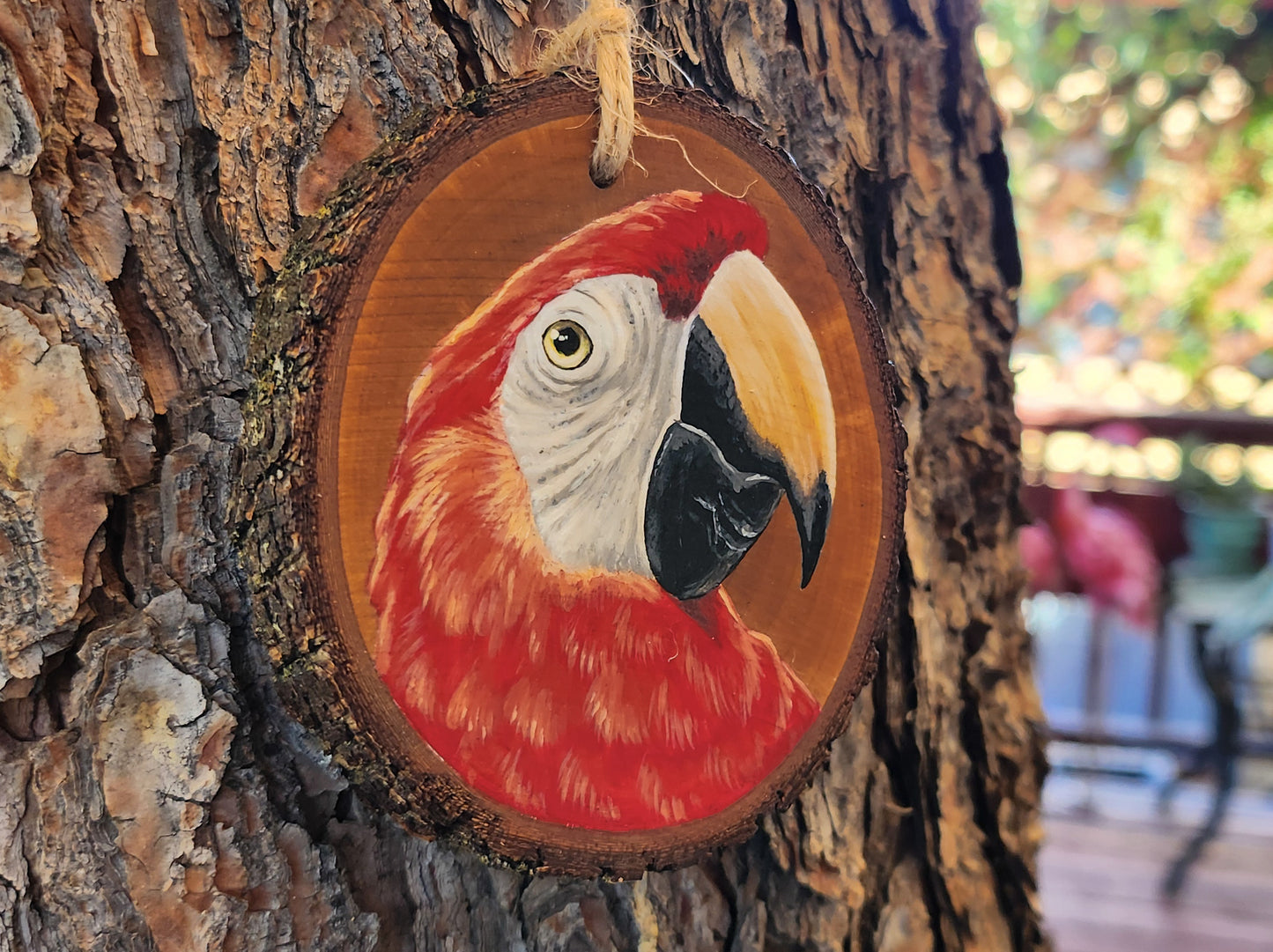 Scarlet Macaw - Pear Wood Slice, Hand Painted Parrot on Wood Macaw Ornament