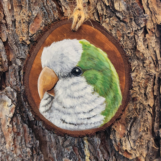 Monk Parrot - Pear Wood Slice, Hand Painted Parrot on Wood, Parakeet, Quaker Parrot