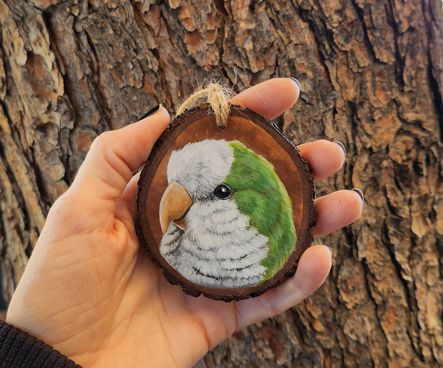 Monk Parrot - Pear Wood Slice, Hand Painted Parrot on Wood, Parakeet, Quaker Parrot