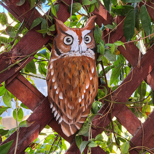 Screech Owl - Wooden Wall Art, Handmade, Painted Owl on Wood, Owl Wall Decor, Red Screech Owl