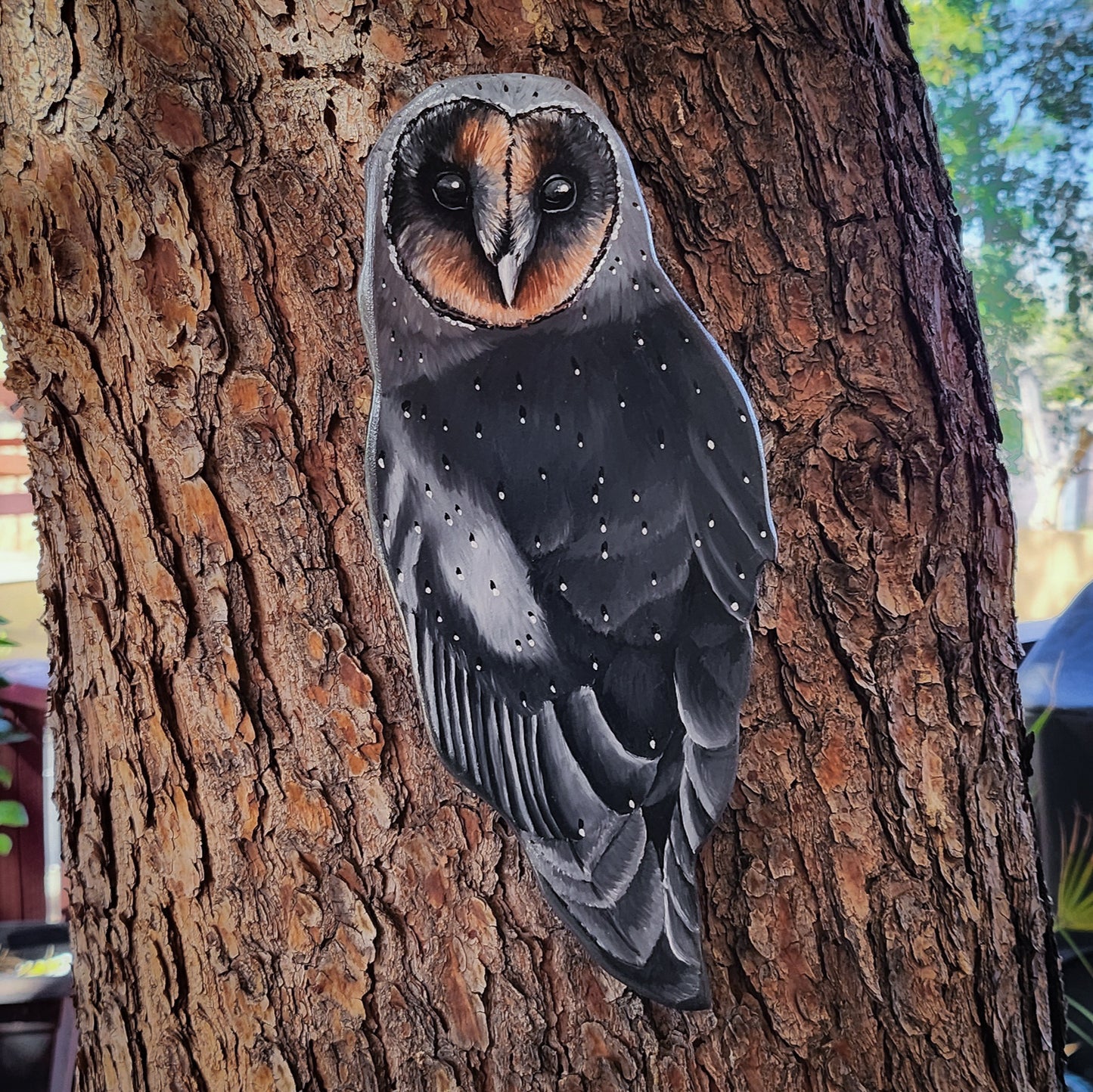 Black Barn Owl - Wooden Wall Art, Handmade, Painted Owl on Wood, Owl Wall Decor, Melanistic Barn Owl