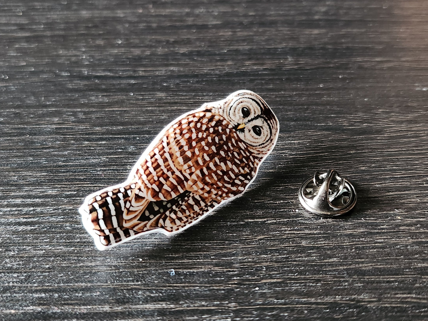 Barred Owl - Resin Coated Polystyrene Pin - 100% Handmade Bird Pin