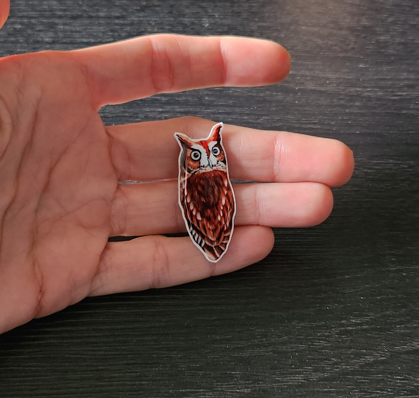 Screech Owl - Resin Coated Polystyrene Pin - 100% Handmade Bird Pin, Red Screech Owl