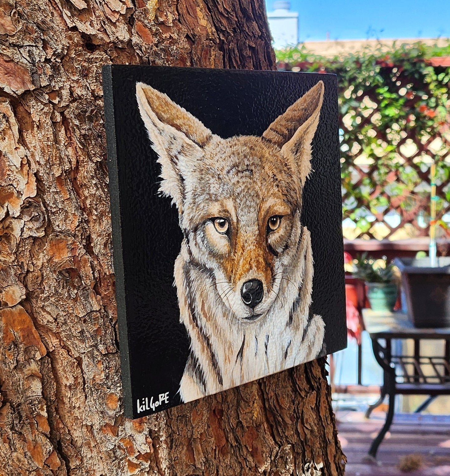 Coyote - Original Acrylic Painting - By Kilgore, Original 7" x 7" Acrylic Painting on Wood
