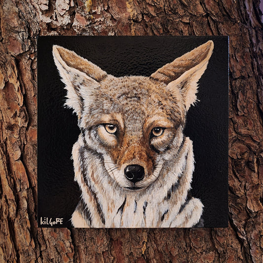 Coyote - Original Acrylic Painting - By Kilgore, Original 7" x 7" Acrylic Painting on Wood
