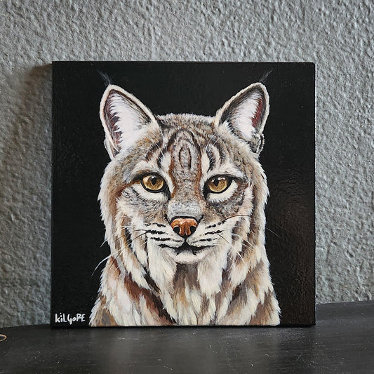 Bobcat - Original Acrylic Painting - By Kilgore, Original 7" x 7" Acrylic Painting on Wood, Lynx