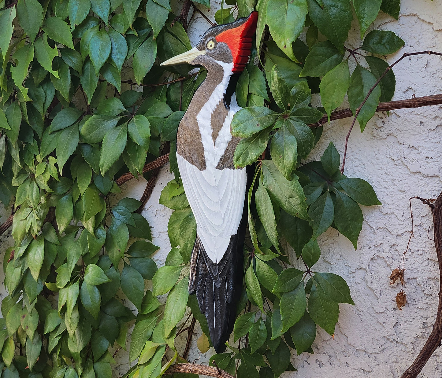 Ivory Billed Woodpecker - Wooden Wall Art, Handmade, Painted Bird on Wood
