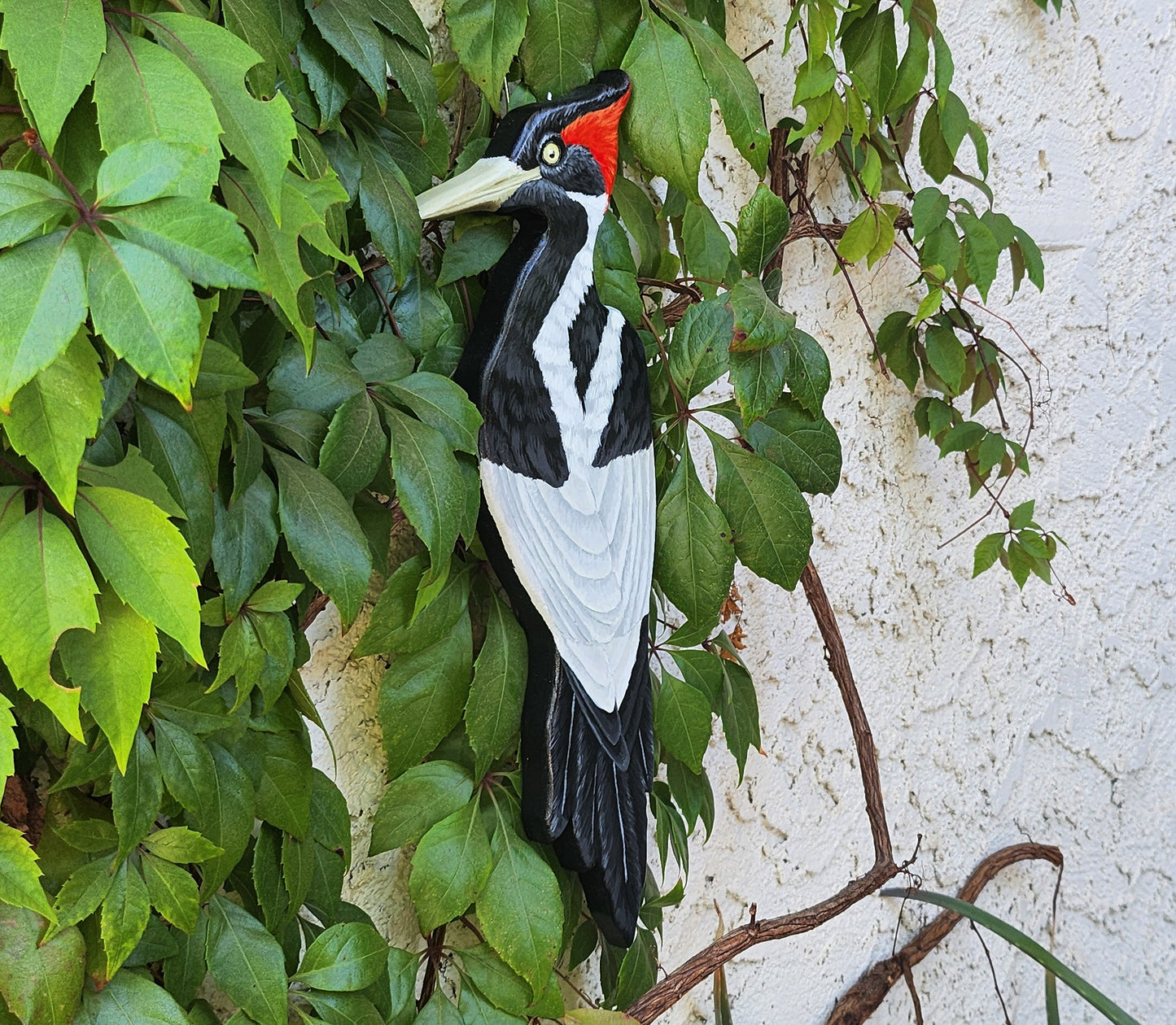 Ivory Billed Woodpecker - Wooden Wall Art, Handmade, Painted Bird on Wood