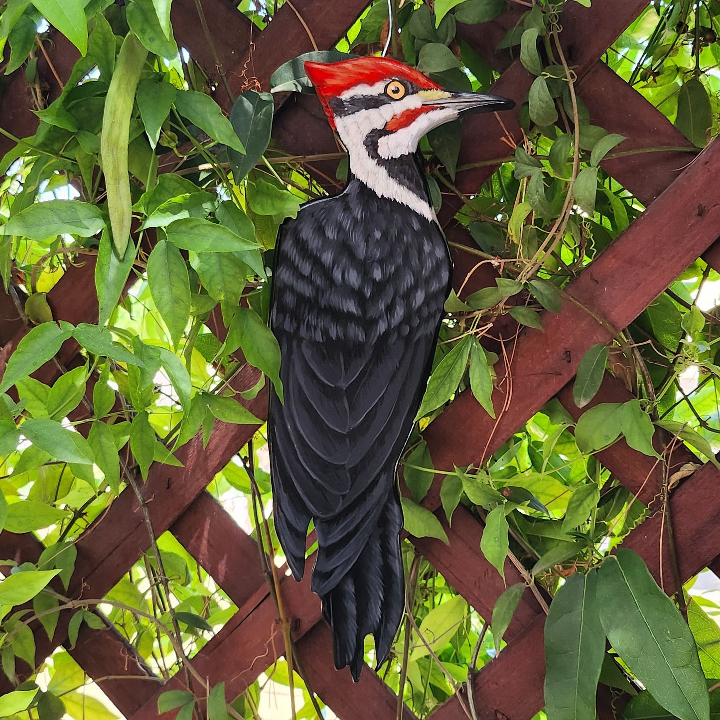 Pileated Woodpecker - Wooden Wall Art, Handmade, Painted Bird on Wood