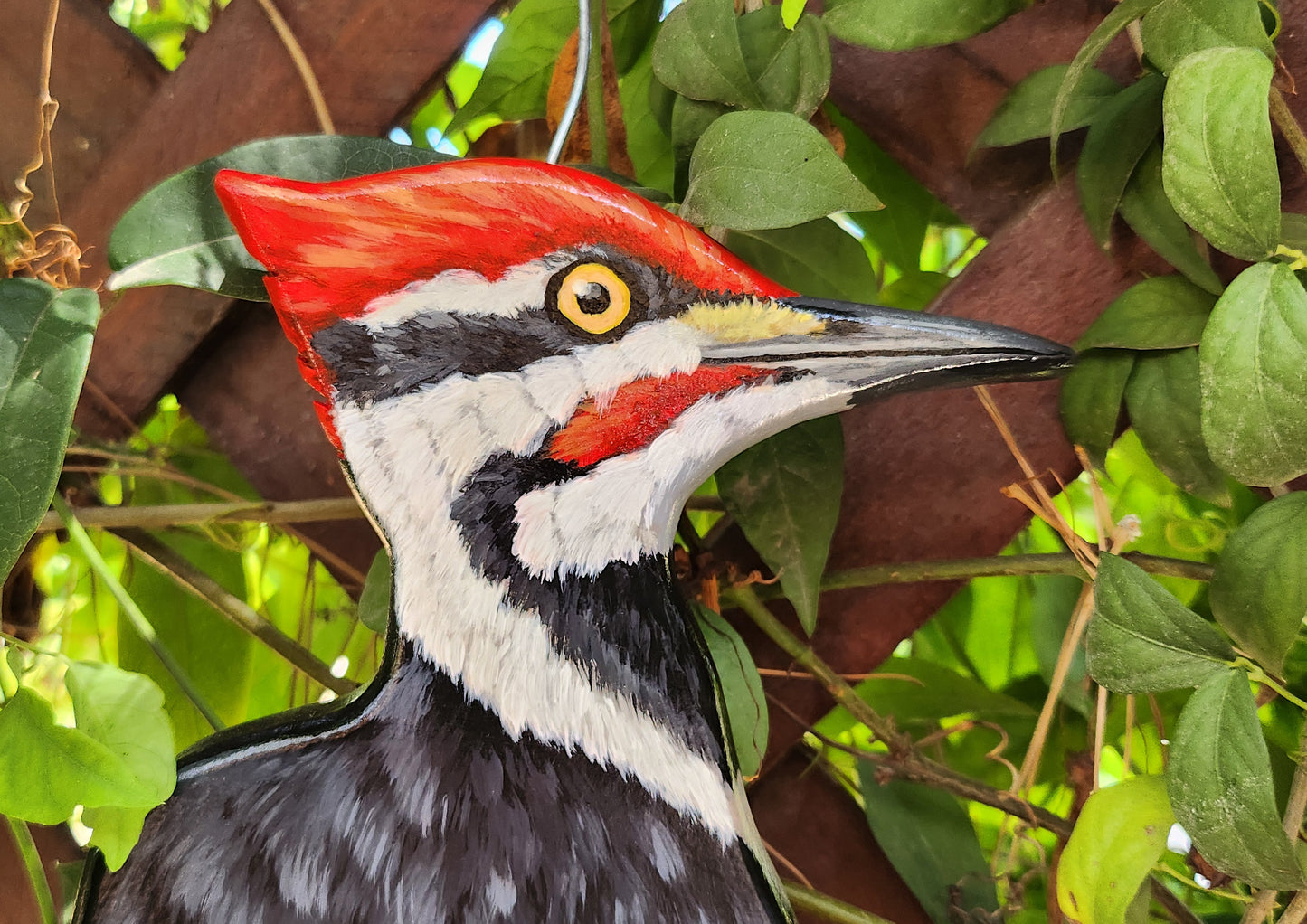 Pileated Woodpecker - Wooden Wall Art, Handmade, Painted Bird on Wood