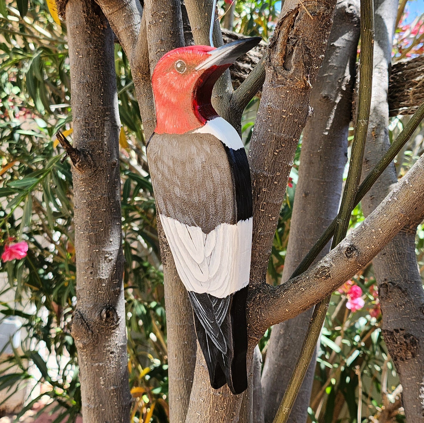 Red Headed Woodpecker - Wooden Wall Art, Handmade, Painted Bird on Wood