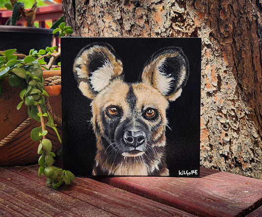 African Wild Dog - Original Acrylic Painting - By Kilgore, Original 7" x 7" Acrylic Painting on Wood, Painted Dog, Cape Hunting Dog
