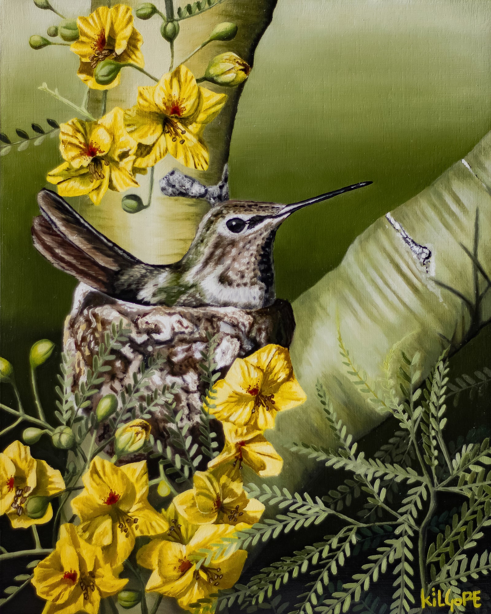 Where the Desert Softens