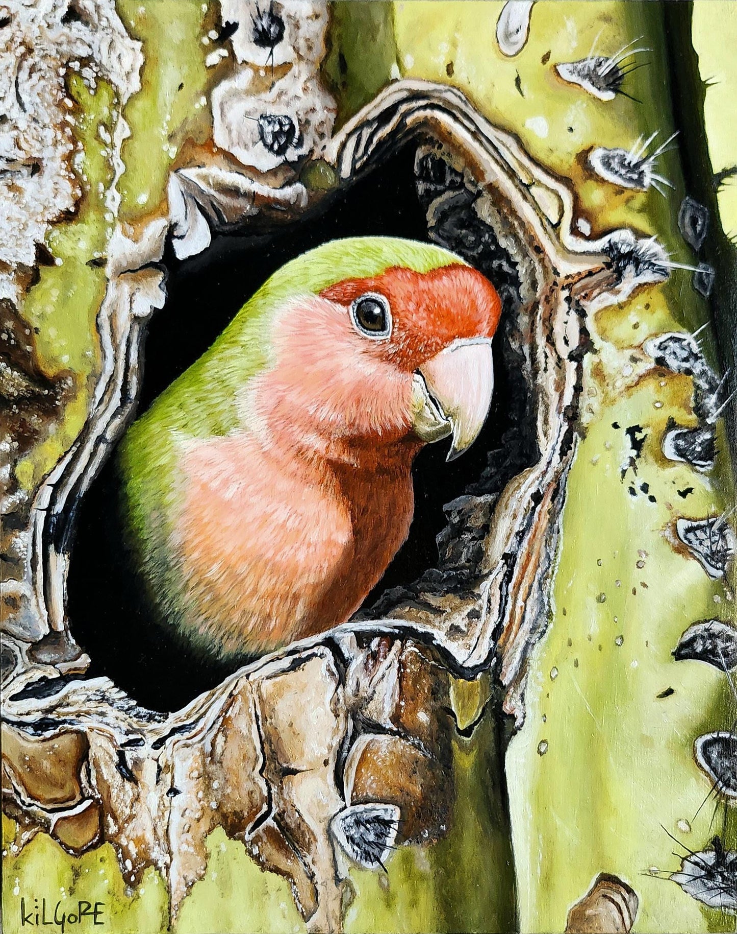 Painting of a parrot perched in a cactus hole