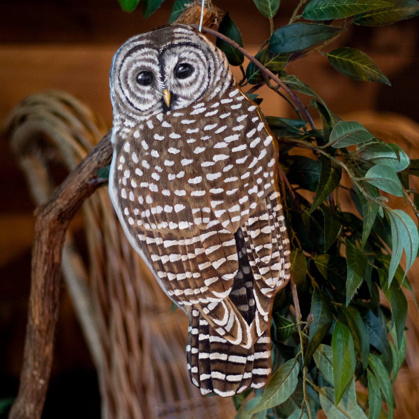 Barred Owl - Wooden Wall Art, Handmade, Painted Owl on Wood, Owl Wall Decor