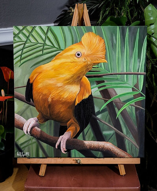 Andean Cock-of-the-rock "Tangerine Sunkist" - Original Oil Painting - By Kilgore, Original 16" x 16" Oil Painting on Stretched Canvas