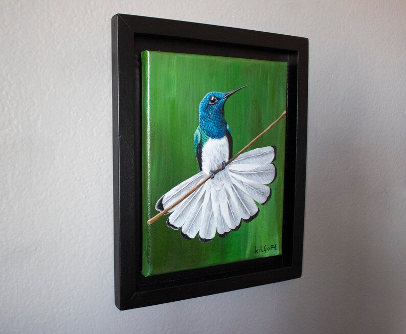 White Necked Jacobin "Elegant Gem" - Original Acrylic Painting - By Kilgore, Original 8" x 10" Framed Acrylic Painting | Hummingbird Artwork