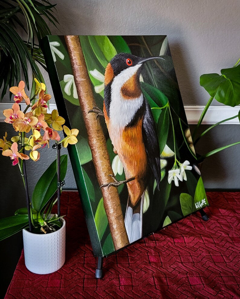 Eastern Spinebill "Where's My Car?" - Original Oil Painting - By Kilgore, Original 16" x 20" Oil Painting on Stretched Canvas