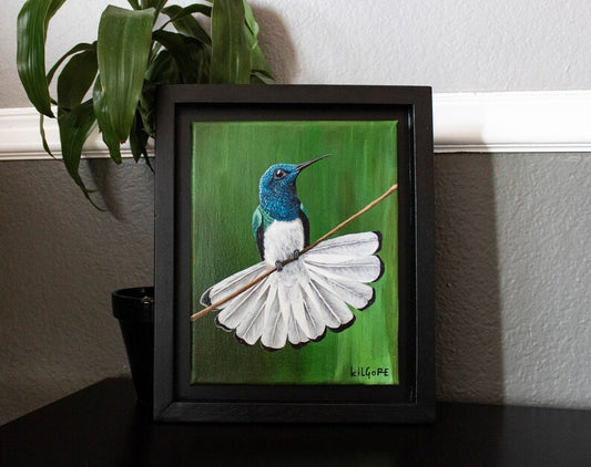 White Necked Jacobin "Elegant Gem" - Original Acrylic Painting - By Kilgore, Original 8" x 10" Framed Acrylic Painting | Hummingbird Artwork