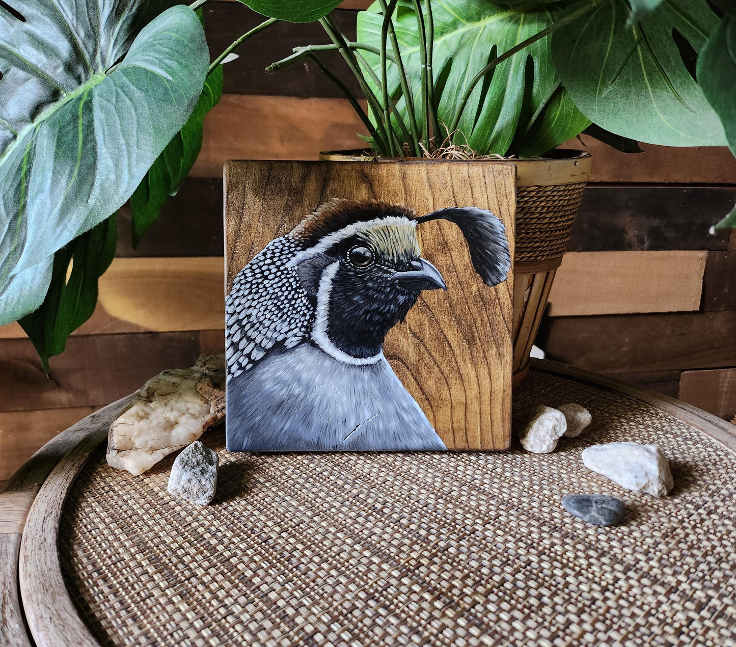 California Quail
