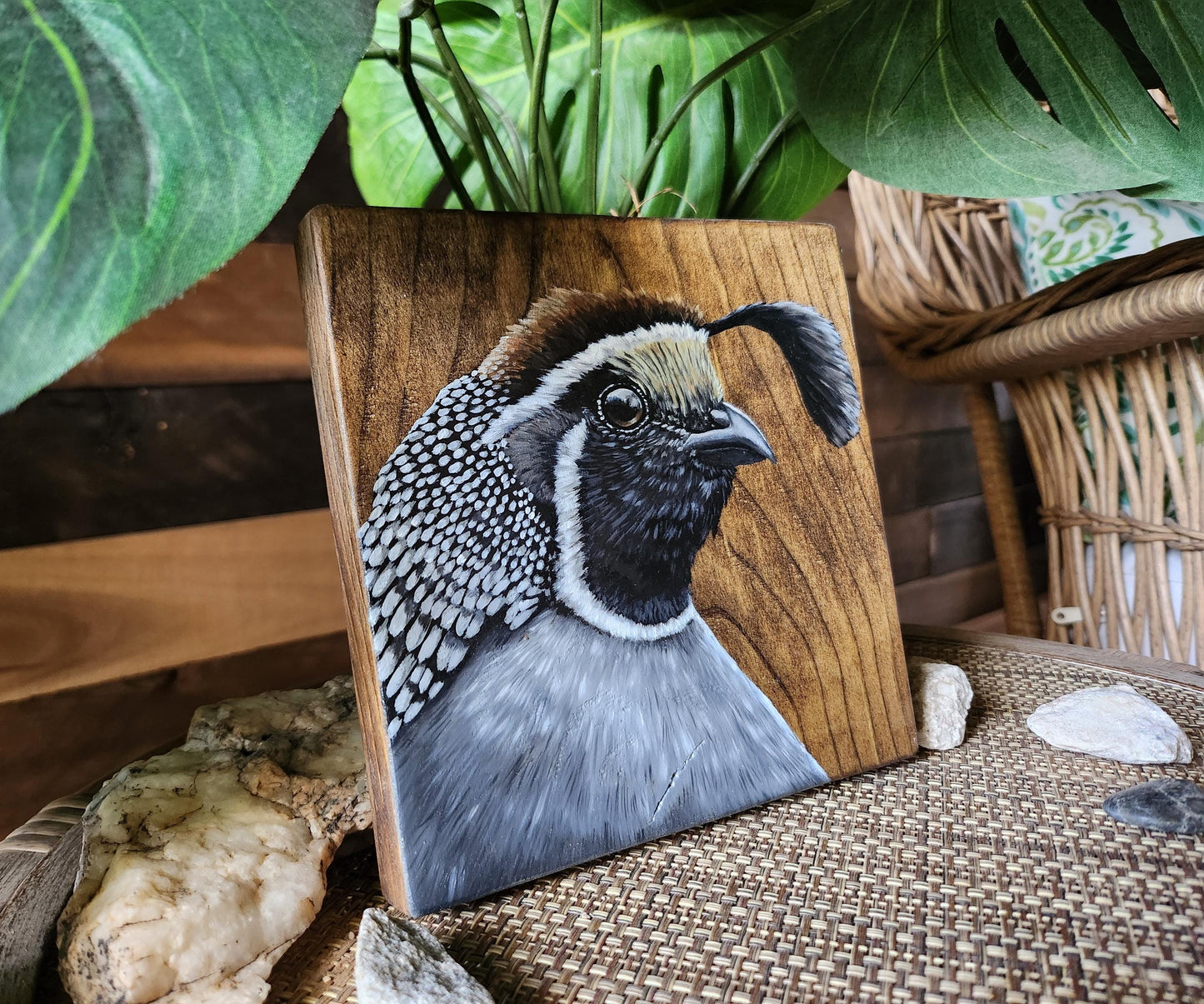 California Quail