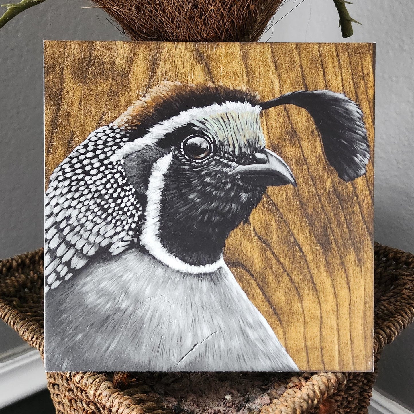 California Quail